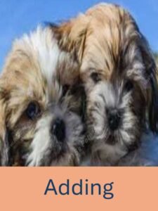 Adding