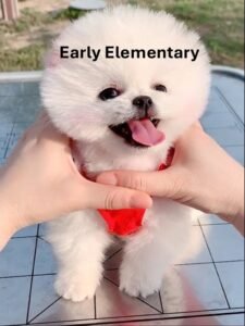 early_elementary